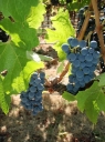 2010-09-01-005
