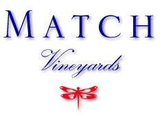 color logo mailer Match Vineyards Update